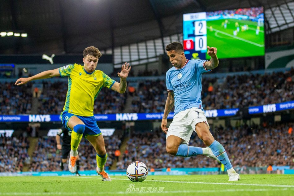 这无疑是本 这无疑是本